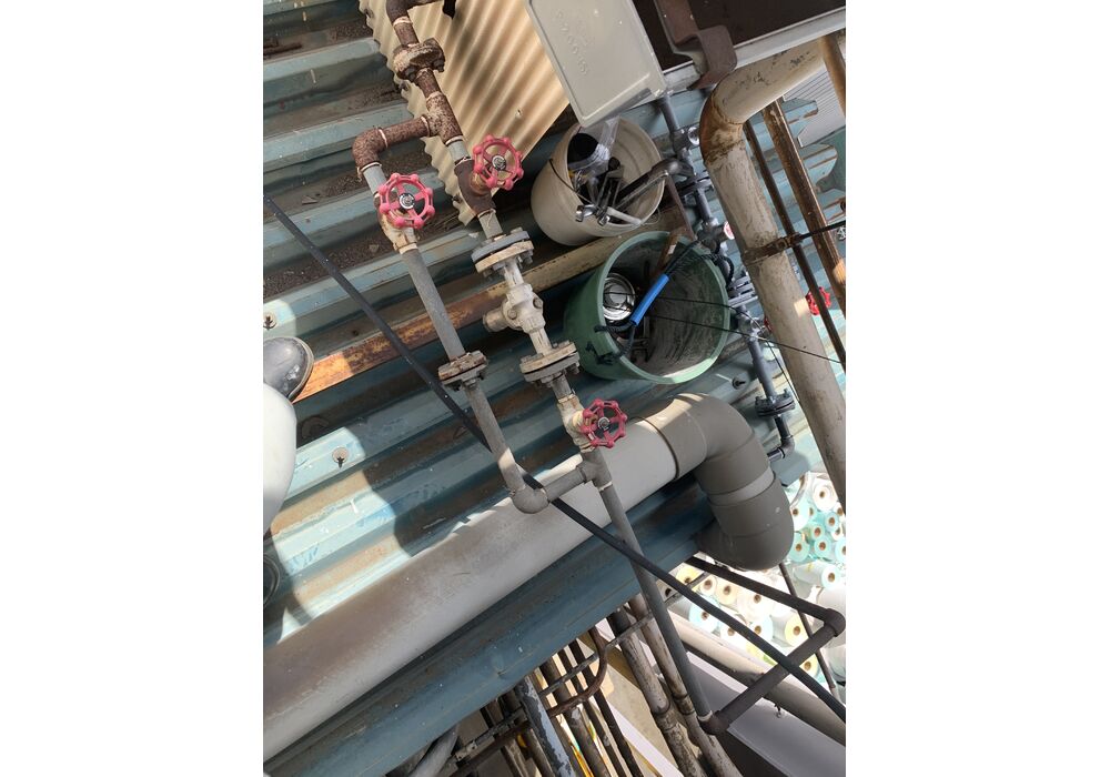 20210802_043314224_iOS